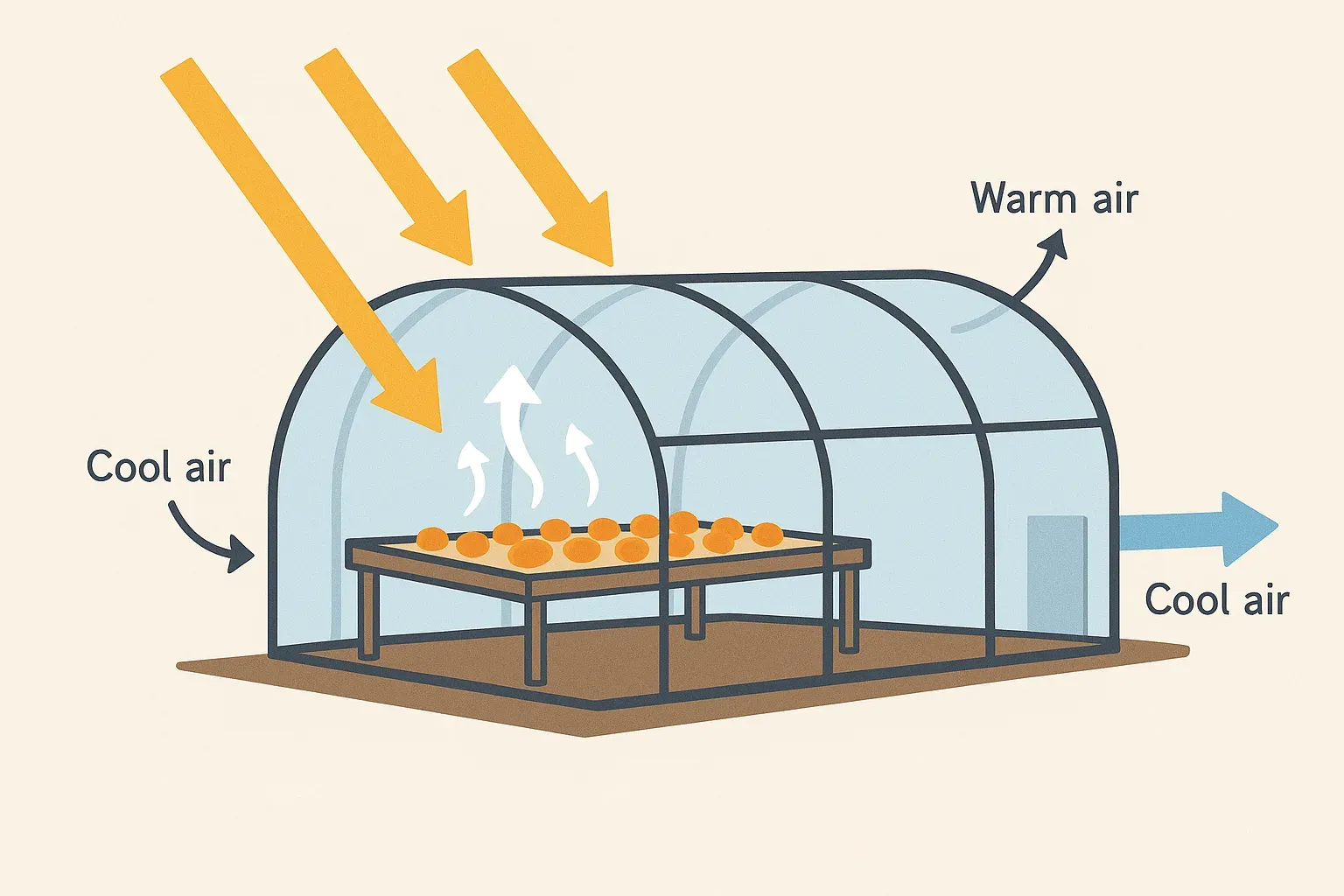 Tunnel Solar Dryer